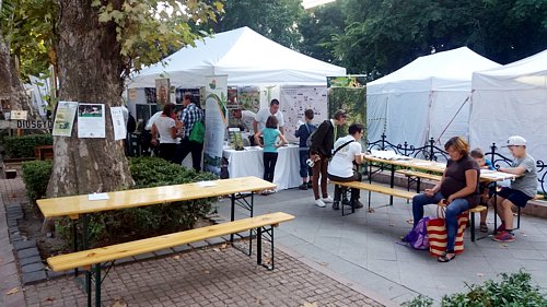 Erdvarzs program 2017