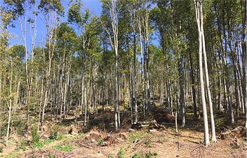 Fzrradvnyi kastlypark