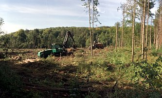 Fzrradvnyi kastlypark