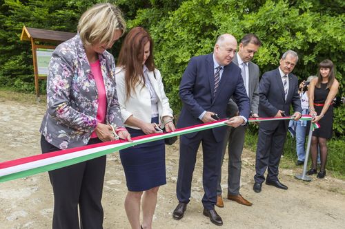 Csanyiki-tansvny tadsa