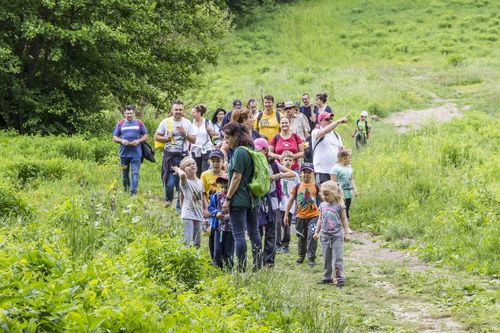 Csanyiki-tansvny tadsa