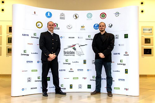 Bzs Gyula, Fehr Jnos