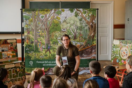 Iskolban az erd