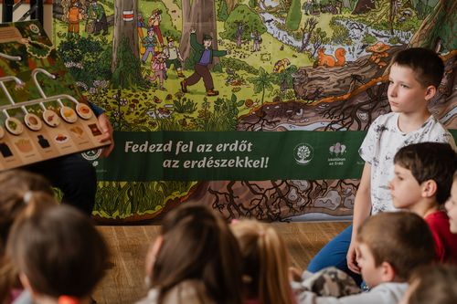 Iskolban az erd