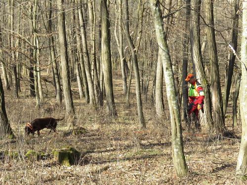 Zempln Kupa - vreb fvizsga