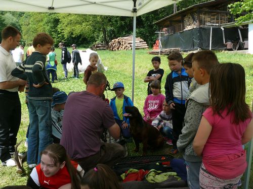 Erdei iskola jubileumi nap