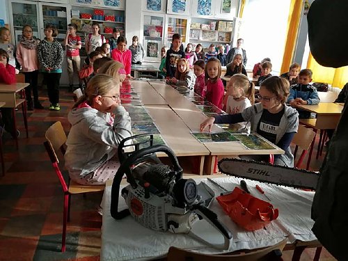 Iskolban az erdei iskolkrl