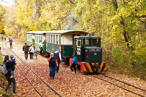 LEV "Lombhullat vonatozs"