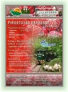 Pirostojs Expressz