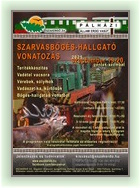 Szarvasbgs-hallgat vonatozs