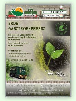 Erdei Gasztroexpressz